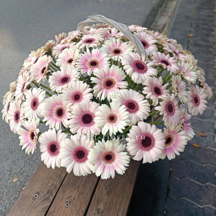 Корзина с герберами  в Севастополи