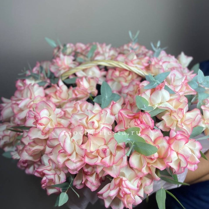 51 джумилия  в корзине   в Севастополи