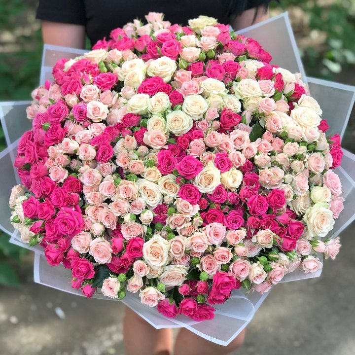 101 кустовая роза в Севастополи