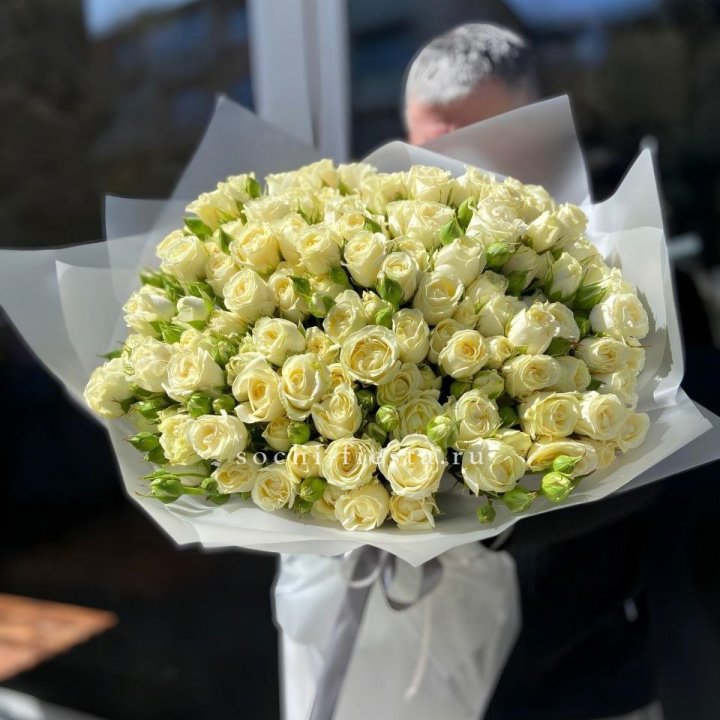 Белые кустовые розы 31 шт в Севастополи