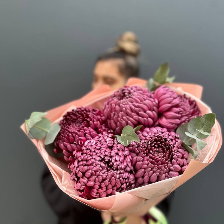 Хризантемы  Бигуди  в Севастополи