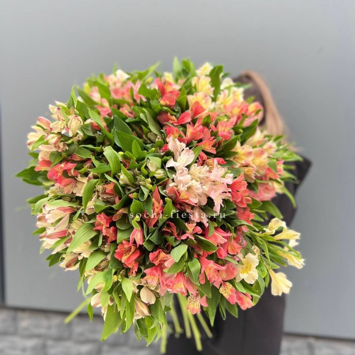 51 альстромерия в Севастополи