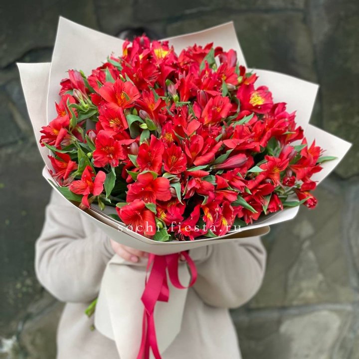 51 альстромерия в Севастополи
