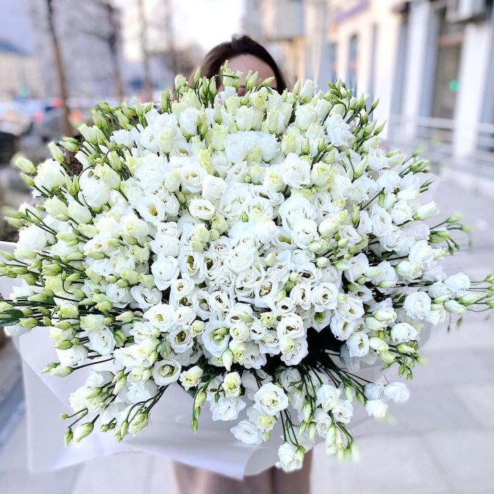 101 белая эустома в Севастополи