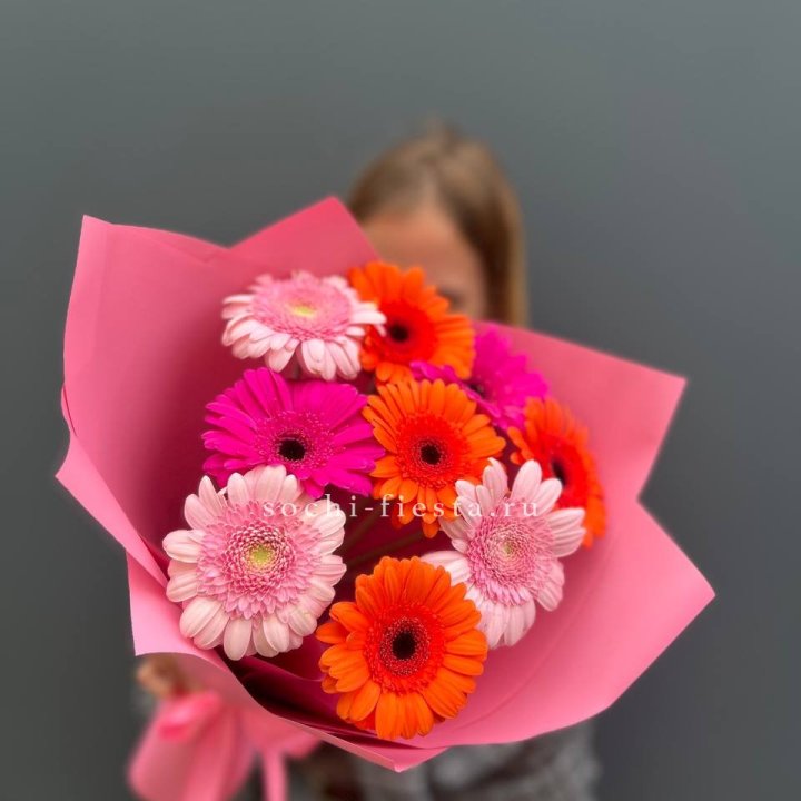 Краски в Севастополи