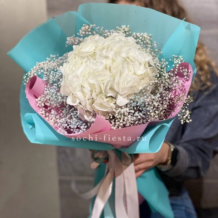 Гортензия "Райдов" в Севастополи