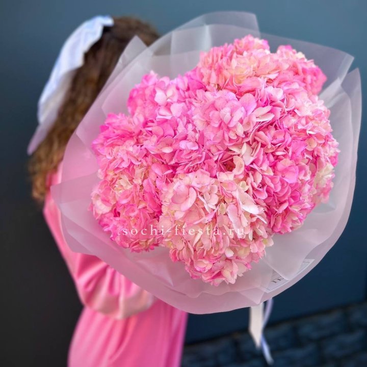 7 ярко розовых гортензий в Севастополи