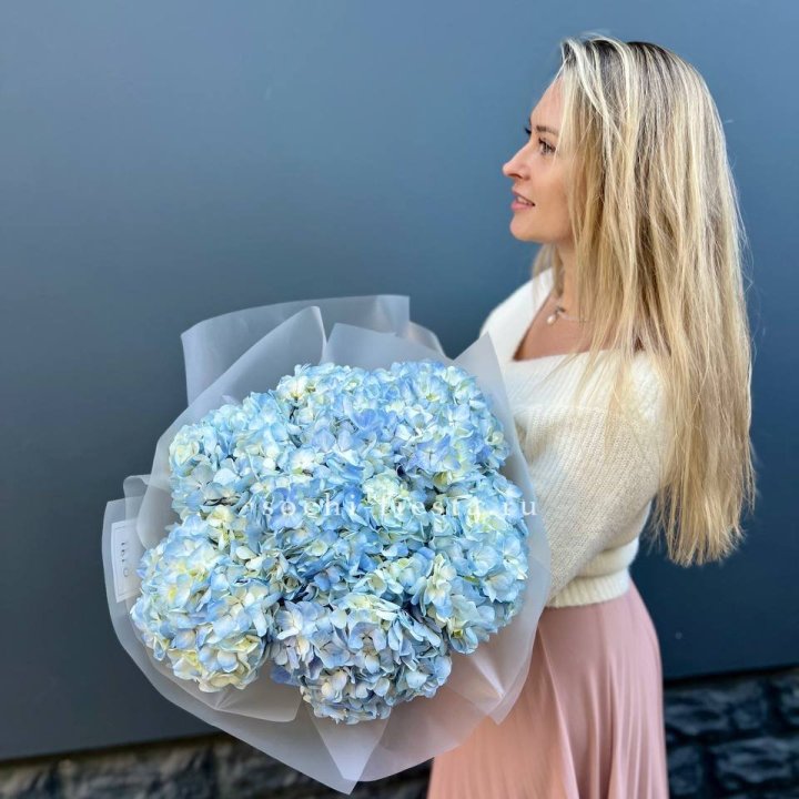 7 голубых гортензий в Севастополи