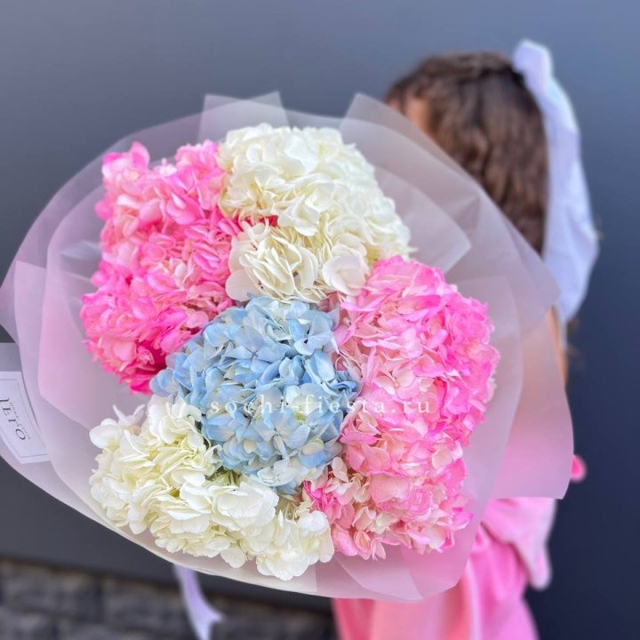 7 гортензий микс в Севастополи