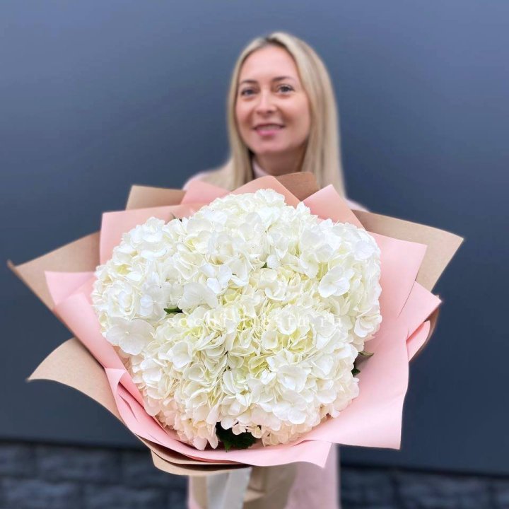 Гортензия белая в Севастополи