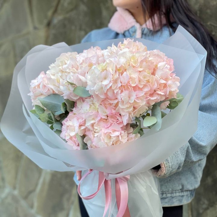 5 розовых гортензий в Севастополи