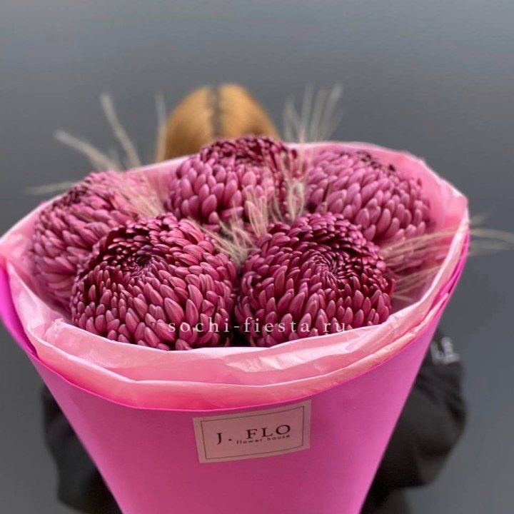 Хризантемы  Бигуди с стифой в Севастополи