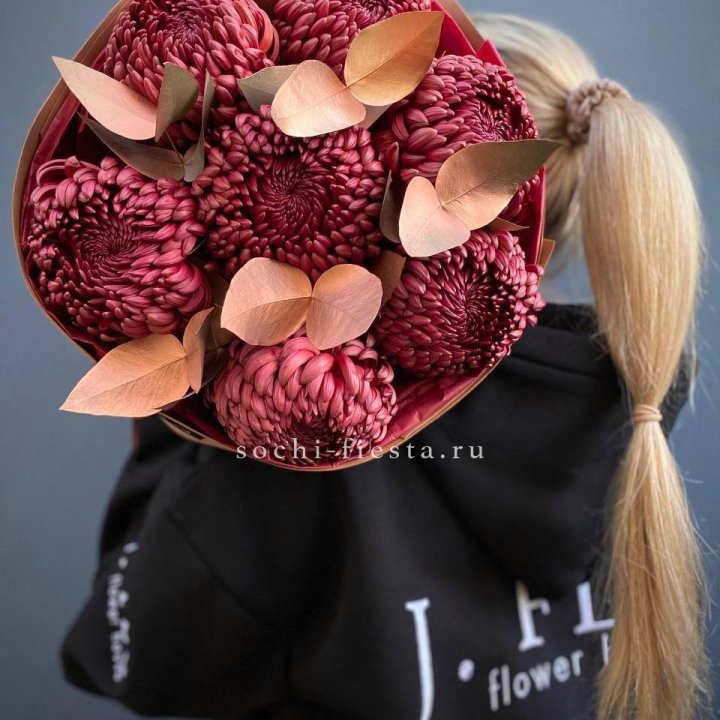 Хризантемы "Голд шоколад" в Севастополи