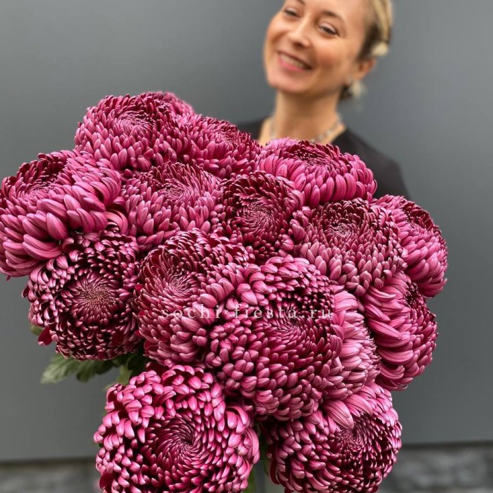 Охапка хризантем Бигуди в Севастополи