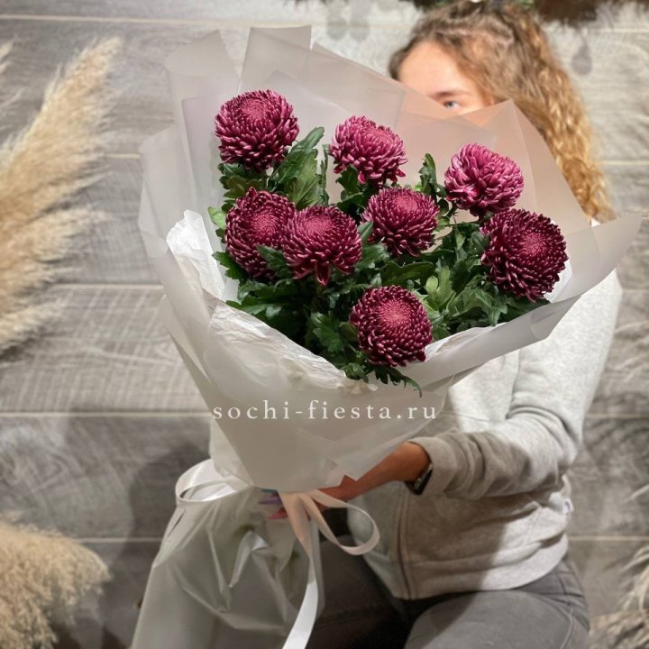 Хризантемы Бигуди в Севастополи