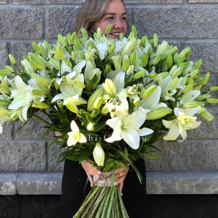 51 лилия в Севастополи