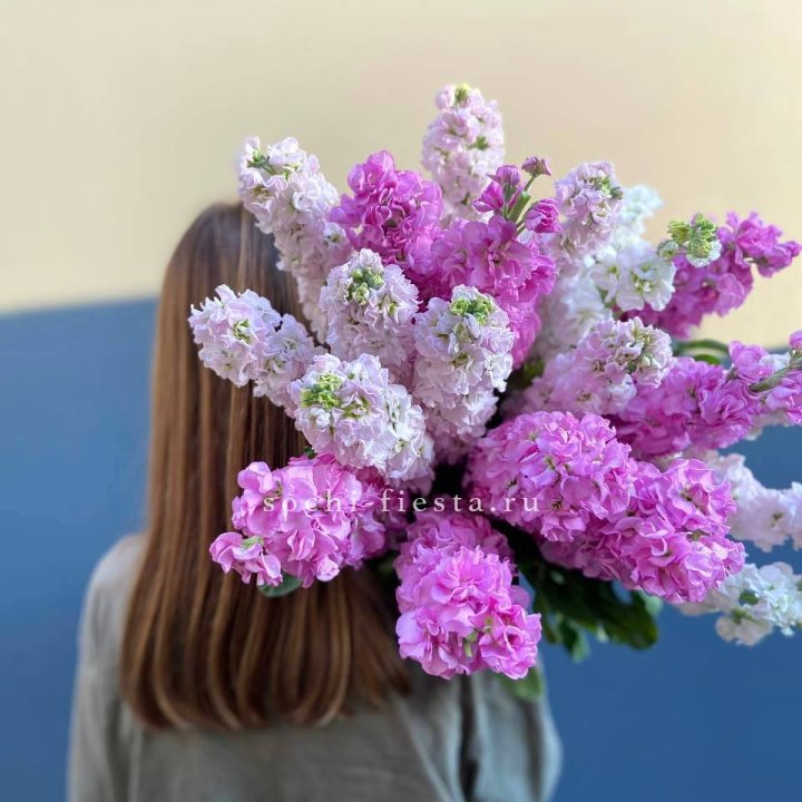 Охапка маттиолы в Севастополи