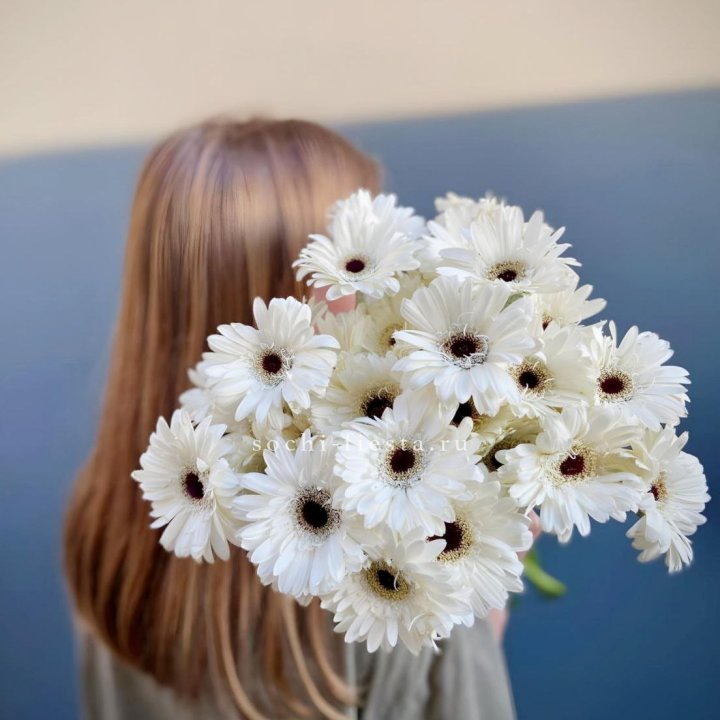 Охапка гербер в Севастополи