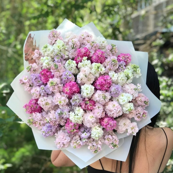 Букет ароматной маттиоллы №3 в Севастополи