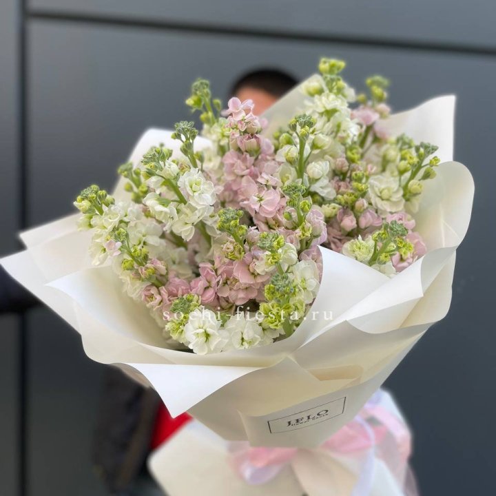 29 маттиол  в Севастополи