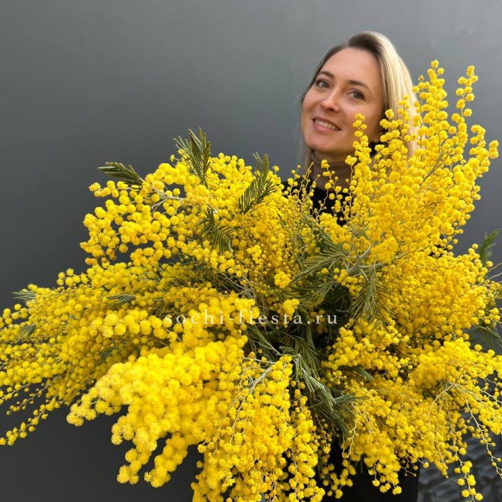 Охапка мимозы №2 в Севастополи