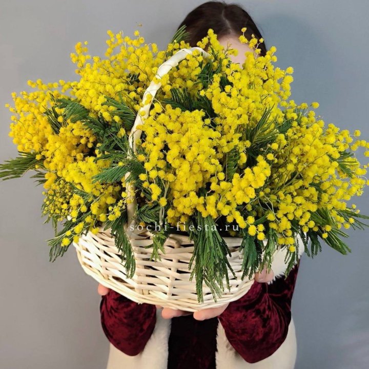 Корзина ароматной мимозы в Севастополи