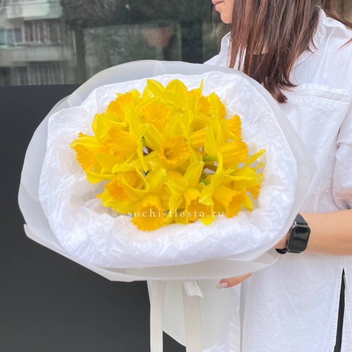 Нарциссы 25 шт в Севастополи