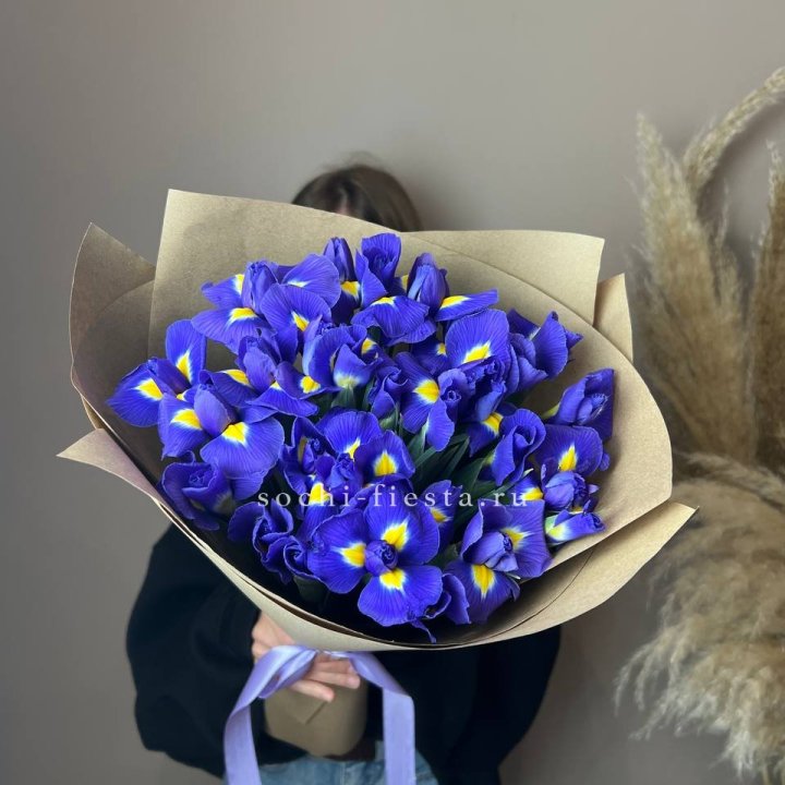 Ирисы в Севастополи