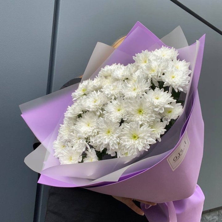  7 хризантем  в Севастополи