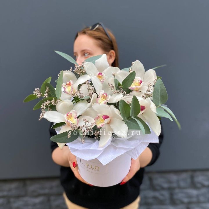 7 орхидей в боксе в Севастополи