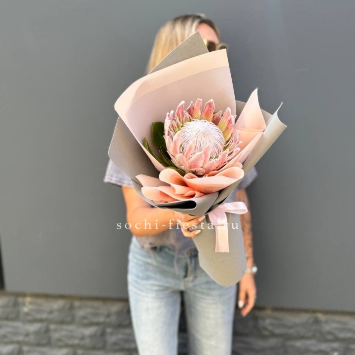 Протея мини  в Севастополи