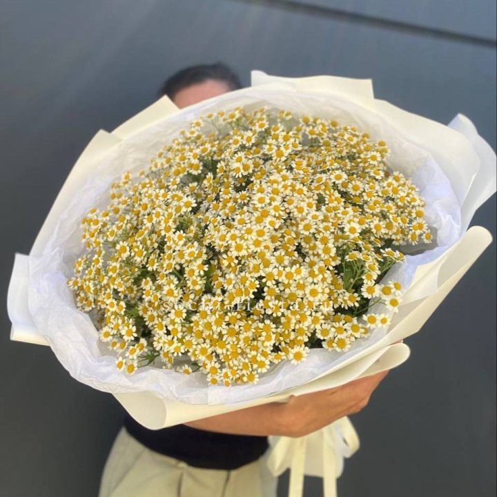 Букет ромашек №2 в Севастополи