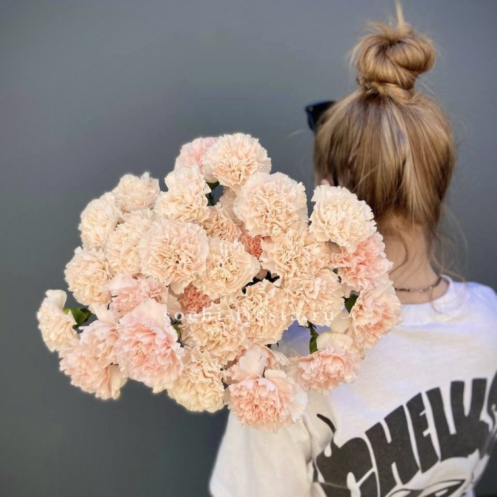 Охапка диантусов  в Севастополи