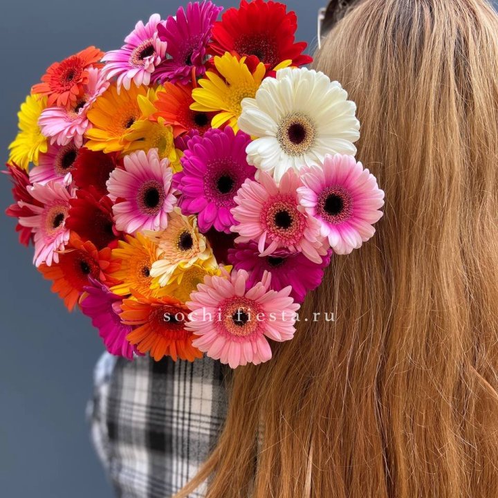 Охапка гербер  в Севастополи