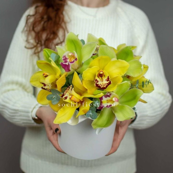 Бокс с орхидей №1 в Севастополи