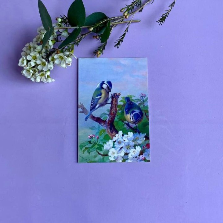 Открытка к букету "Птицы" в Севастополи