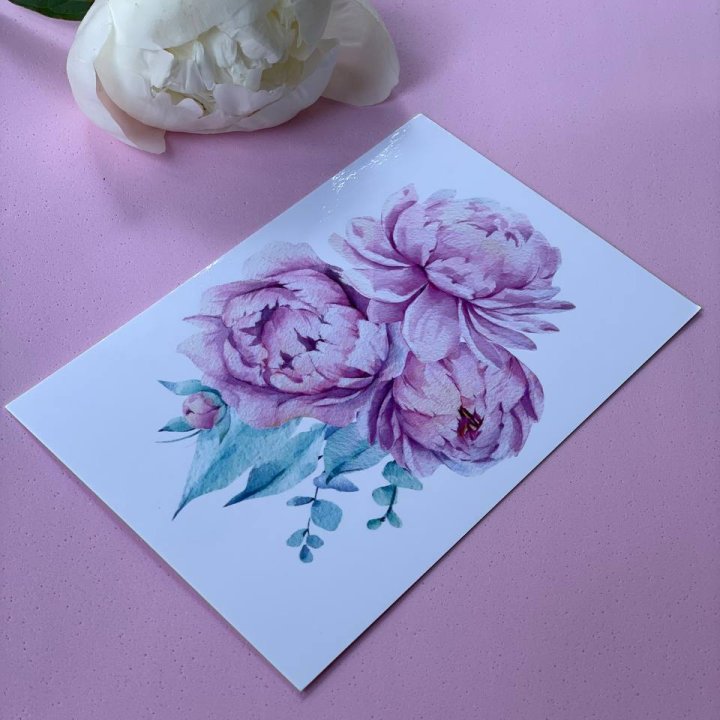 Открытка к букету "Пионы" в Севастополи