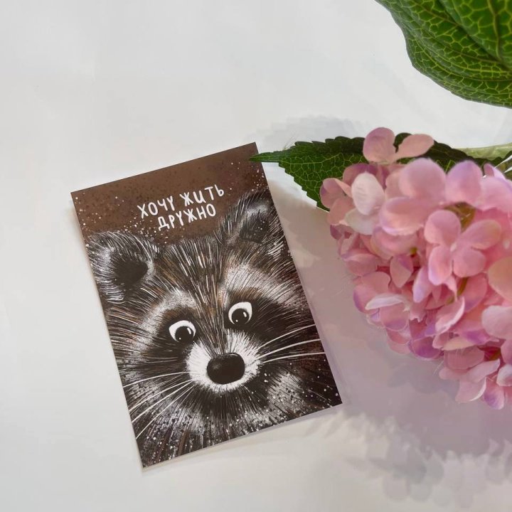 Открытка к букету "Енотик" в Севастополи