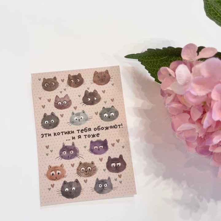 Открытка к букету "Котики" в Севастополи