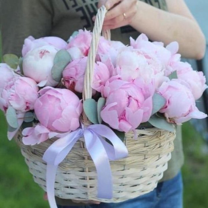 15 пионов в корзине в Севастополи