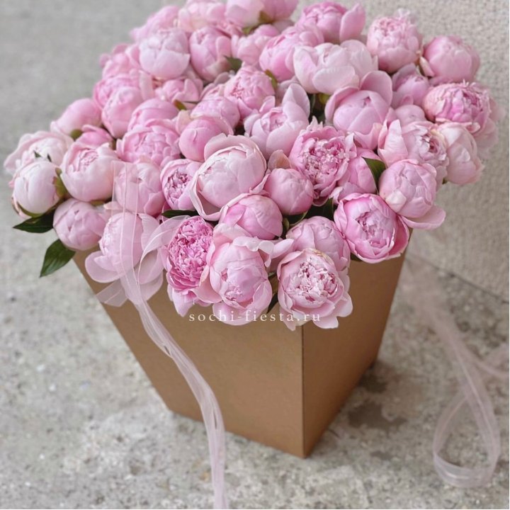 49 пионов в крафт коробке в Севастополи