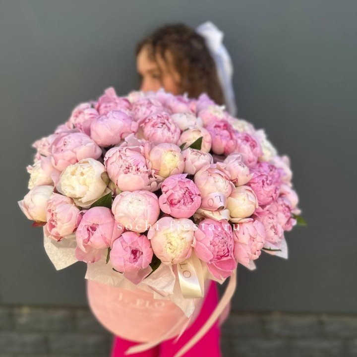 51 нежных пионов  в цилиндре в Севастополи