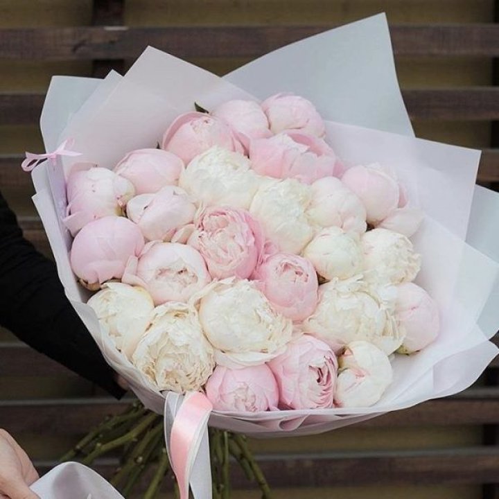 29 пионов в Севастополи