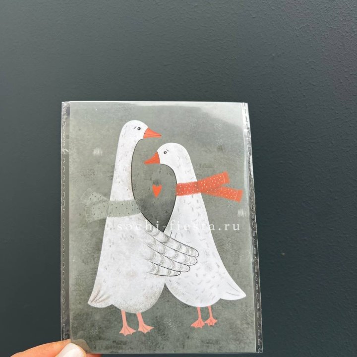 Открытка к букету "Гуси” в Севастополи