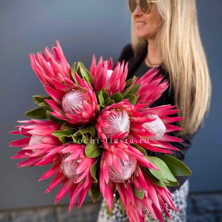 Протея штучно в Севастополи