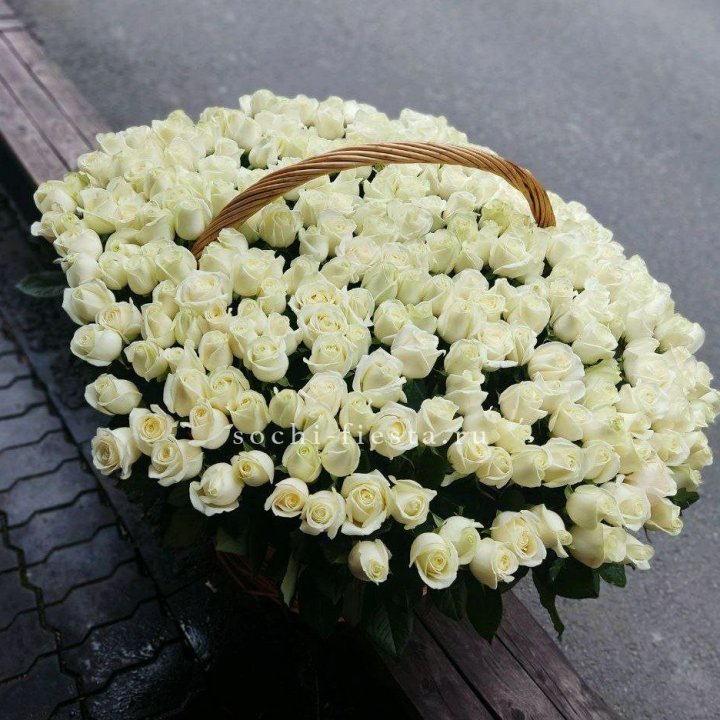 303 розы в корзине в Севастополи