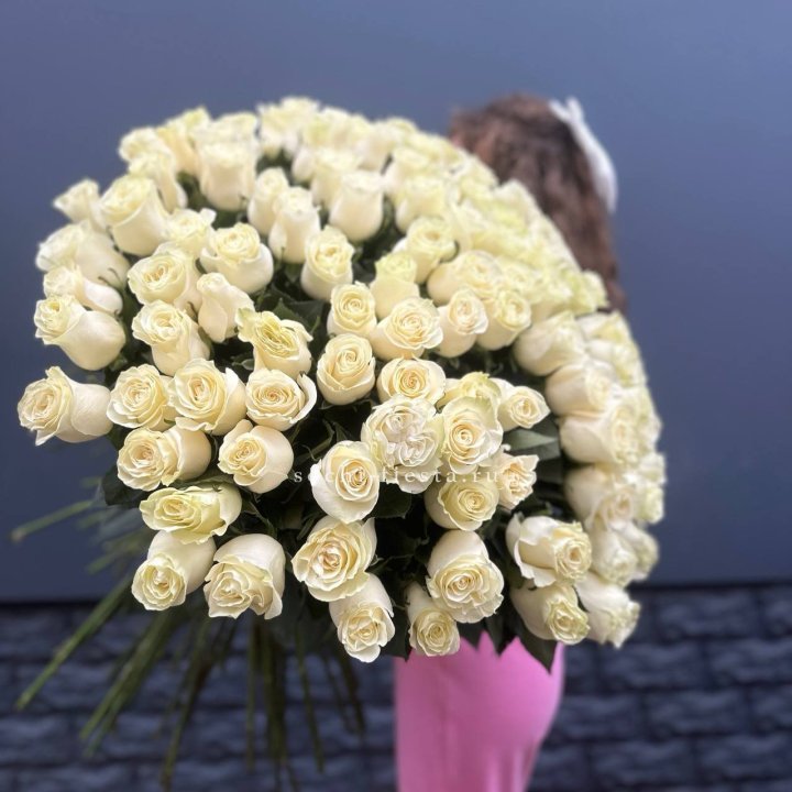 101 белая высокая импортная роза под ленту в Севастополи