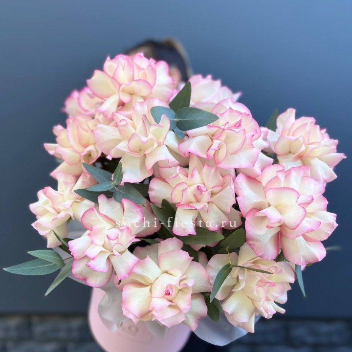 15 Французских роз Джумилия в боксе в Севастополи