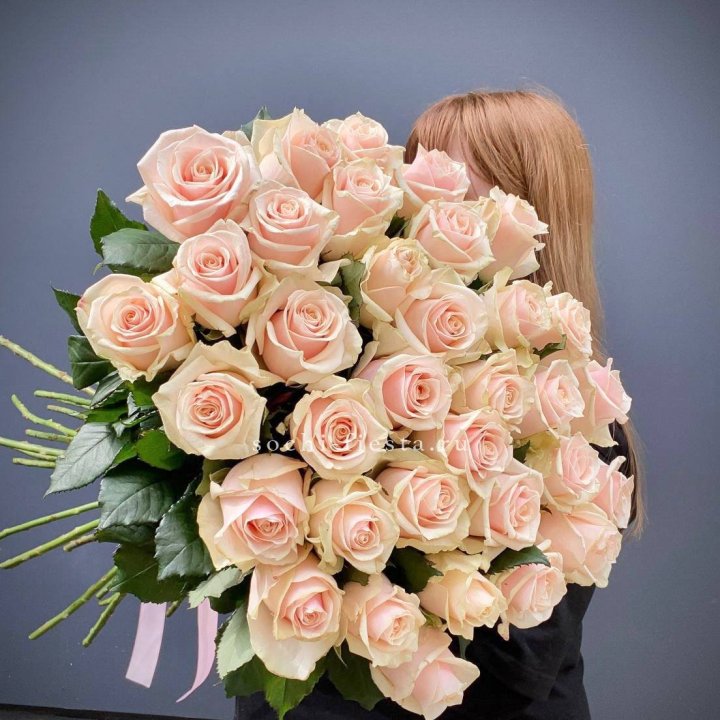 35 кремовых высоких роз в Севастополи