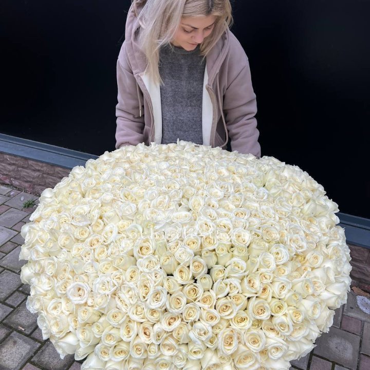 501 белая роза в корзине в Севастополи